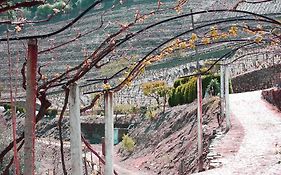 Quinta De Santo Antonio